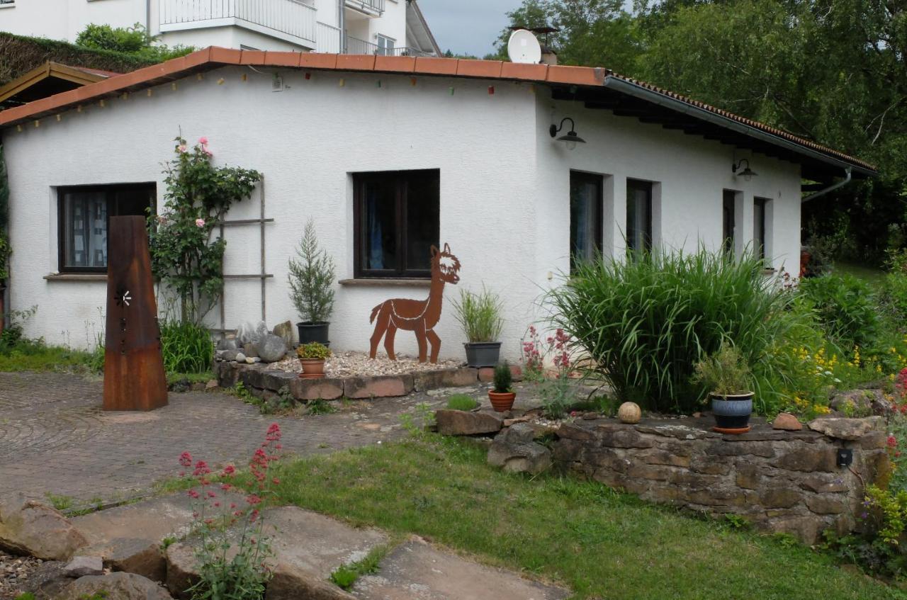 Villa Haus Alpaka à Bad König Extérieur photo
